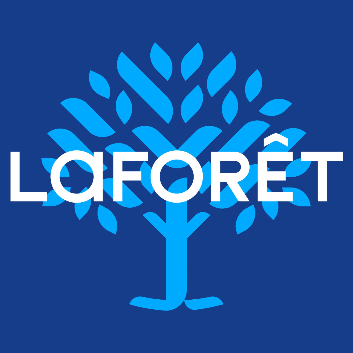 Logo Laforêt